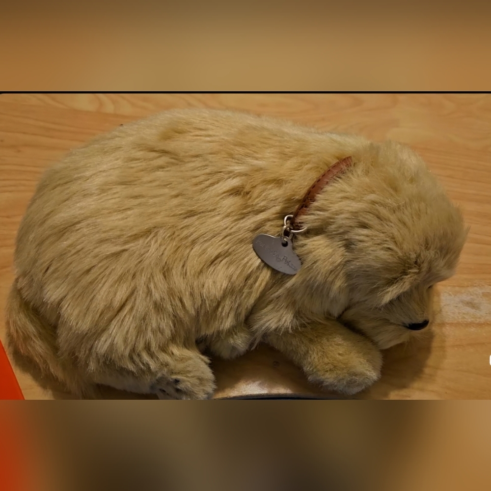 Perfect Petzzz Sleeping Tan Lab Puppy Add Battery Watch It Breath